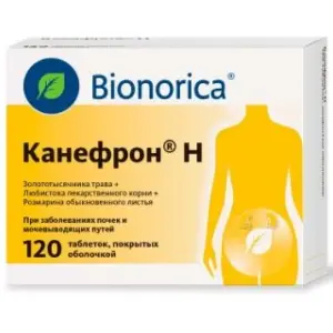 Купить Канефрон Н 120 шт таблетки покрытые оболочкой