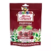 Купить Alpine Caramel 75 г леденцы для детей с натуральным медом и витамином С вишня