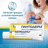 Купить Пантодерм 5% 30 г мазь для наружного применения