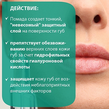 Купить Belweder 4 г помада для губ с гиалуроновой кислотой