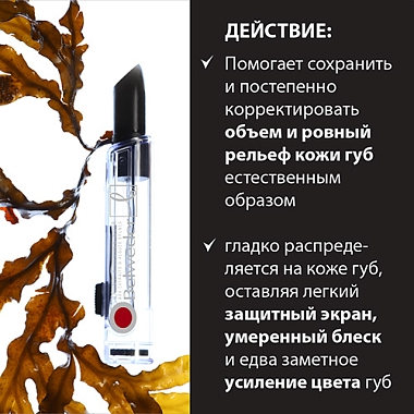 Купить Belweder бальзам д/губ 4г черный с экстрактом бурых водорослей