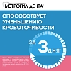 Купить Метрогил Дента 20 г гель стоматологический