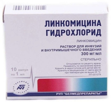 Купить Линкомицин 30 % 1 мл 10 шт раствор для внутривенного и внутримышечного введения ампулы