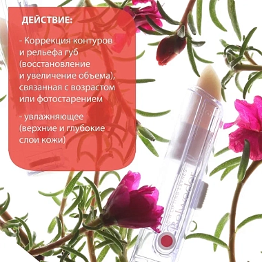 Купить Belweder 4 г помада для губ лифтинг с пептидами