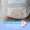Купить Joonies Premium Soft 38 шт подгузники-трусики для детей размер XL 12-17 кг