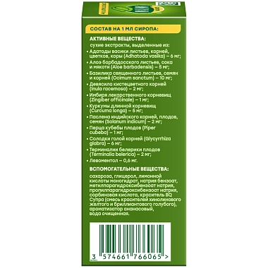 Купить Доктор Мом 100 мл сироп