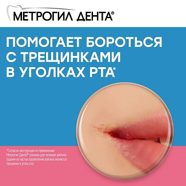 Купить Метрогил Дента 20 г гель стоматологический