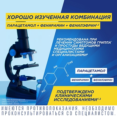 Купить Терафлю 2 г 10 шт порошок для приготовления раствора для приема внутрь лесные ягоды