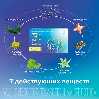 Купить Уринал Нефро 60 шт капсулы